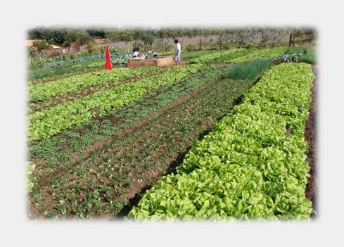 agricultura sustentável Necessidades futuras da