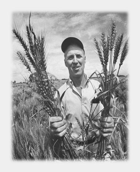 Origem A dispersão e sucesso deste modelo deve se à vontade e atuação de um agrónomo que foi apelidado de pai da Revolução Verde, Norman Borlaug (Nobel da Paz, 1970); Agrónomo e investigador da