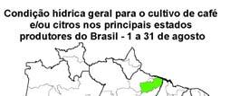 Monitoramento Agrometeorológico do Café Condições hídricas e