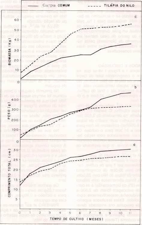 FIGURA 1 Curvas de crescimento em comprimento (a) e peso (b) e de biomassa (c), obtidas no policultivo de carpa comum, Cyprinus Carpio L., 8 vr.