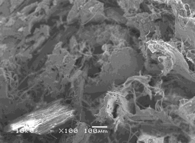 Através da microscopia eletrônica de varredura foi possível avaliar a eficiência do processo de dispersão da carga celulósica na matriz