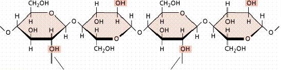 Como consequência dessa estrutura fibrosa a celulose possui alta resistência à tração e é insolúvel na maioria dos solventes (Fengel e Wegener, 1989).