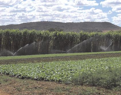 br Devido à escala espacial em que se realizam as atividades agropecuárias e ao conjunto de recursos naturais por elas explorados, a gestão ambiental de estabelecimentos rurais merece prioridade.