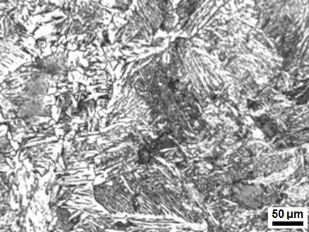 114 A) B) PINO PINO BLOCO BLOCO Figura 3 Micrografias da amostra