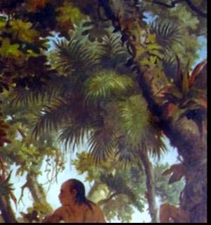 Figura 5.13. Palmeira localizada atrás da árvore com o índio sentado.