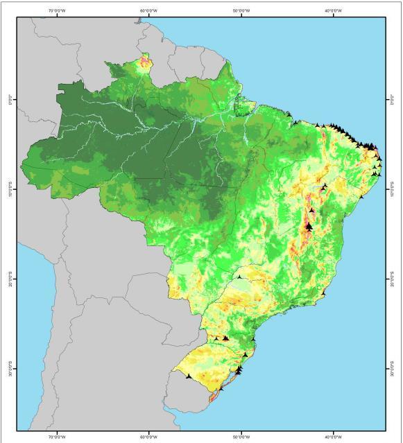 FONTE EÓLICA - Programa de Incentivo às Fontes Alternativas de Energia Elétrica (Proinfa): 2002 a 2009 - conteúdo local - No Brasil, esteve presente em 15 leilões de