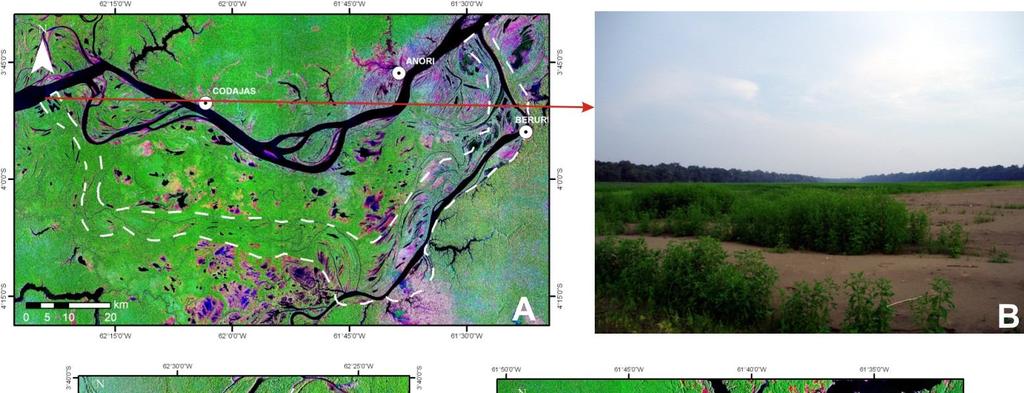 alongadas. Atualmente, na depressão do paleocanal 1, migram rios tributários (como o rio Purus) e ocorrem vários lagos estreitos e alongados que acompanham a morfologia das barras.