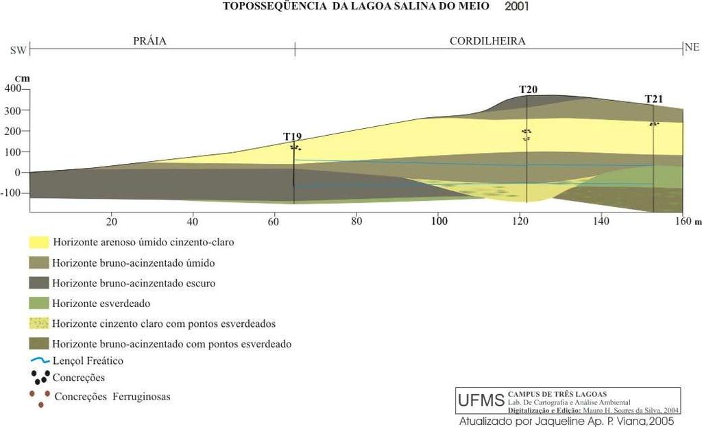 Figura 1. Topossequência 3, Lençol freático no ano de 2001.