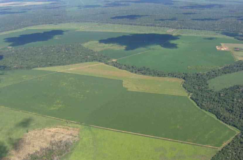 Para este quarto monitoramento, o Grupo de Trabalho da - GTS, que é formado pelas empresas associadas da ABIOVE e ANEC, Ministério do Meio Ambiente, Banco do Brasil e organizações da sociedade civil