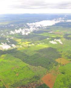 698 hectares (ha) desflorestados após julho de 2006.