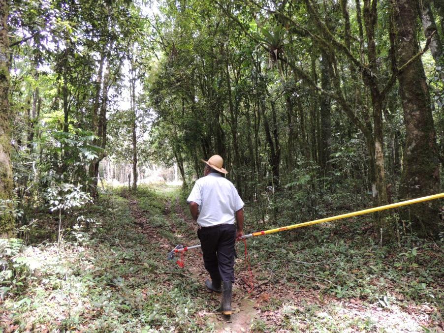 Legenda: turnê guiada pelo agricultor para coleta de espécies florestais. Foto: Nicolas Floriani, 2013.