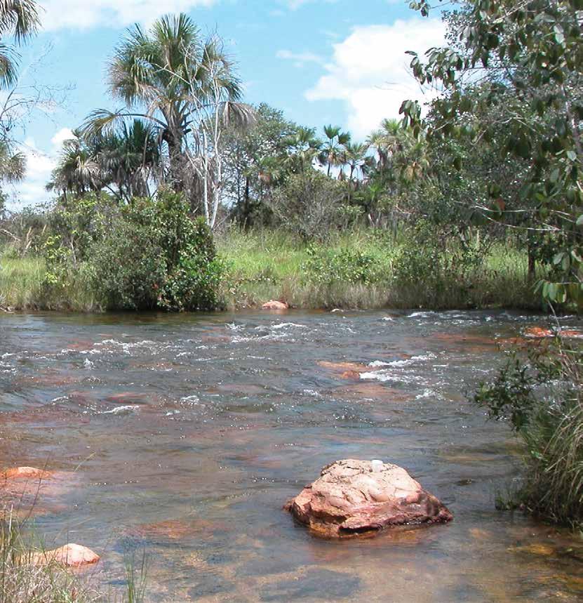 Manejo sustentável do cultivo algodoeiro Como limitar o impacto do cultivo algodoeiro sobre o meio ambiente Em Mato Grosso, o algodoeiro é cultivado em clima tropical úmido, o que favorece a