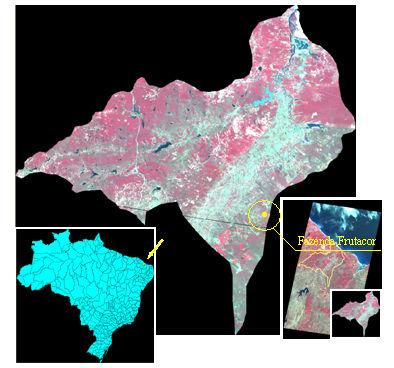 36 Figura 5: Imagem TM Landsat 5 em composição falsa cor RGB (red, green and blue) das bandas 2, 3 e 4 referente à bacia do Baixo Jaguaribe, com a área cultivada com Bananeiras na Fazenda Frutacor 4.
