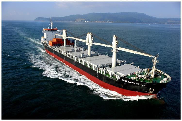 Navios Multipropósito: Transportam cargas de navios de cargas gerais e