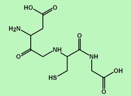 GSH detoxifica de H2O2 e peróxidos orgânicos NADPH NADP+ Reduzida Oxidada A forma R-SH