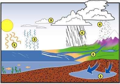 INTRODUÇÃO A água na biosfera Reconhecer propriedades físico-químicas relevantes A água NÃO É ESTÁTICA (Ciclo da água CICLO