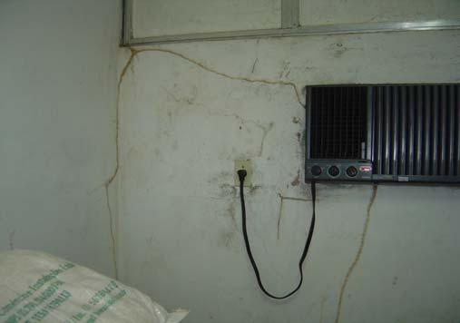 presença de cupins que inviabilizam a manutenção de um padrão sanitário eficiente. FIGURA 13 - Sala de Estocagem de Maravalha.
