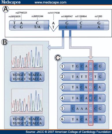 Marcadores de DNA Baseados em PCR