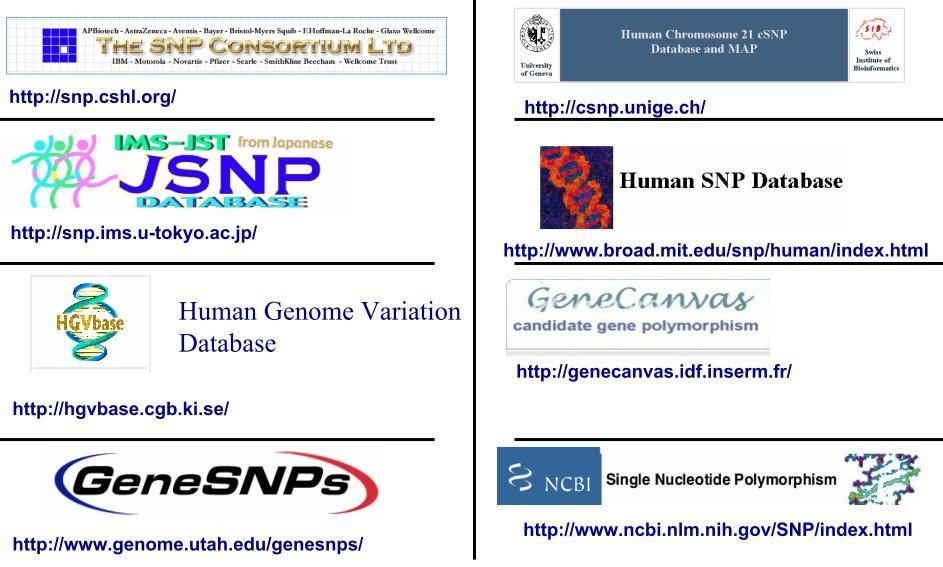 projetos genomas Bibliotecas de