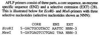 permitem obter grande número de marcadores genéticos Nucleic Acids