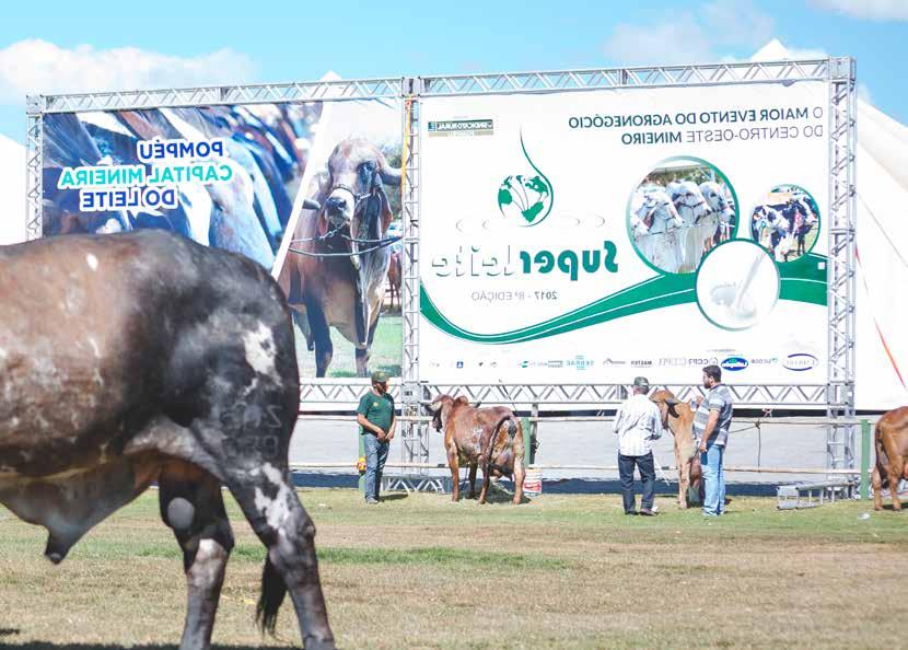 Grandes resultados A SUPERLEITE se consolidou como uma das maiores feiras da pecuária leiteira do estado. Em 2017, o evento registrou aumentos significativos.