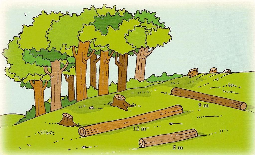 Cada tronco vai ser cortado em 6 partes com o mesmo comprimento.