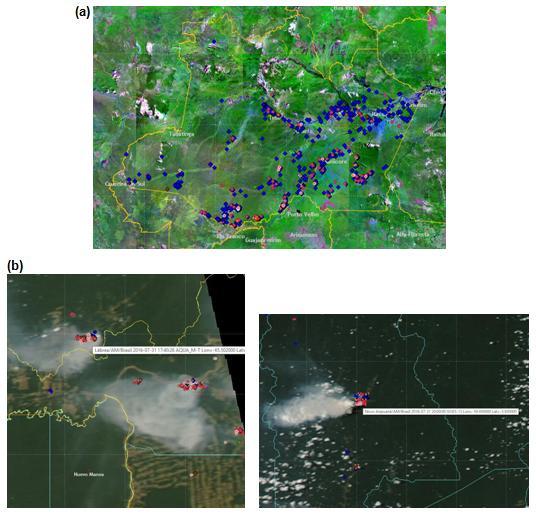 As queimadas no estado do Amazonas também se destacaram no mês de julho.