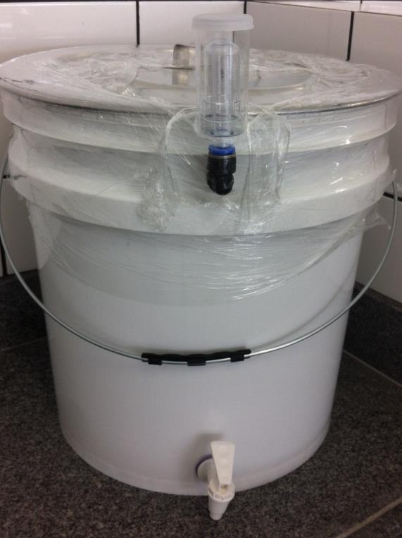 58 Adicionou-se água mineral para completar os 20 L do início da produção no balde fermentador, e misturou-se com fermento cervejeiro inoculado do gênero Saccharomyces Cerevisiae Uvarum.