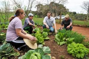 08/05/2017 Assistência Técnica Rural tem portaria oficializando o início de projeto de apoio ao produtor A portaria assinada pelo diretor da Sead A Secretaria Especial de Agricultura Familiar e do