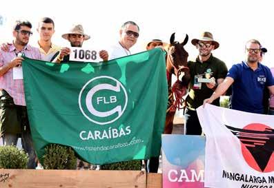 CAMPEÃO NACIONAL POTRO MIRIM MARCHA