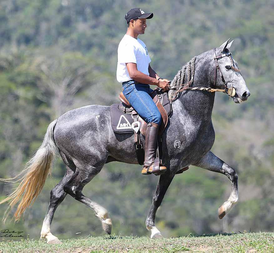 IGUAPE CATALÃO dfghn wsgjk IGUAPE CATALÃO Favacho Juazeiro x Favacho Neblina Campeão dos