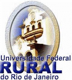 UNIVERSIDADE FEDERAL RURAL DO RIO DE JANEIRO INSTITUTO DE CIÊNCIAS HUMANAS E SOCIAIS ICHS CURSO DE MESTRADO PROFISSIONAL EM GESTÃO E ESTRATÉGIA EM NEGÓCIOS FATORES DE MOTIVACAO NO TRABALHO: O QUE