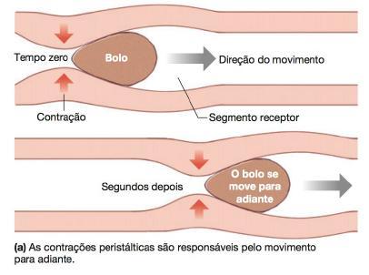 CONTRAÇÕES