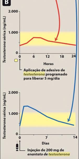 Outras preparações Sistema transdérmico / Gel Níveis de testosterona