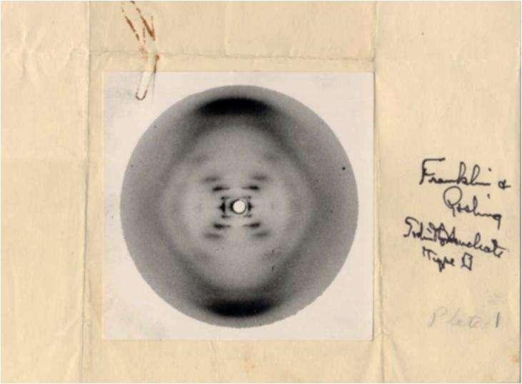Maurice Wilkins e Rosalind Franklin (1953) Padrões de difração de raios X molécula bifilamentar e helicoidal com subunidades