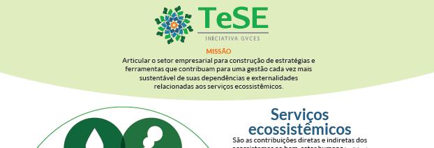 TeSE