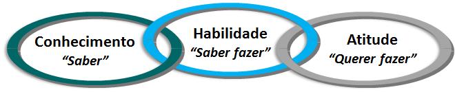 Competências Competências são as qualificações necessárias para o desempenho eficaz do papel funcional.