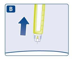 A 6 segundos Mantendo a agulha e caneta a direito, retire-as da pele. Se surgir sangue no local da injeção, pressione ligeiramente com algodão. Não esfregue a área.