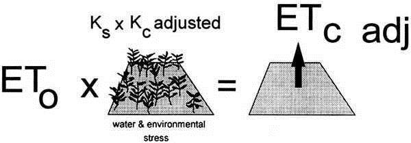 Evapotranspiração real da Cultura (ETr) Kc * Ks Com ou sem restrição hídrica ETr pmp - umidade do solo cc ETr é a evapotranspiração nas mesmas