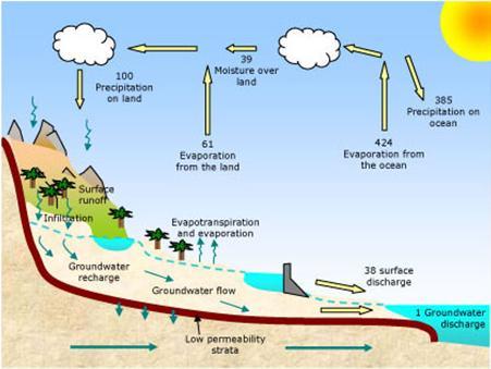 A importância da ET no ciclo hidrológico A evapotranspiração é a forma pela qual a água da superfície terrestre passa para a atmosfera no estado de vapor, tendo papel importantíssimo no Ciclo