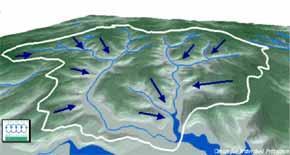 Prec. ET Micro-bacia Hidrográfica Q Em uma escala intermediária, a ET assume papel fundamental no balanço hídrico de micro-bacias hidrográficas, juntamente com a precipitação.