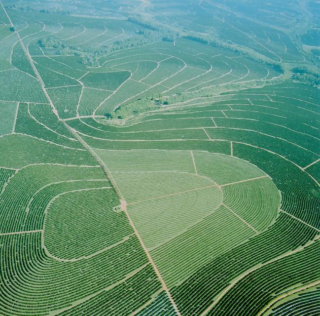 Alternativas para redução custos de produção e colheita