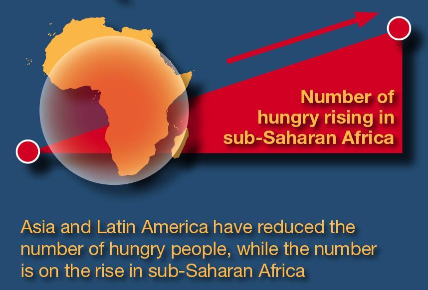 Dados sobre a fome 791 milhões de pessoas (98%) vive nas regiões em desenvolvimento As deficiências em micronutrientes continuam a afetar 2 mil milhões de pessoas em todo o mundo Mais de 100 milhões