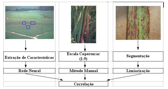 Identificação de Ferrugem de