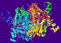 Biossíntese do colesterol H H 3 C C 2 H HMG-CoA redutase H H 3 C C 2 H H S CoA