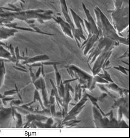 Micrografia observada no microscópio eletrônico de varredura da amostra tratada termicamente, nas