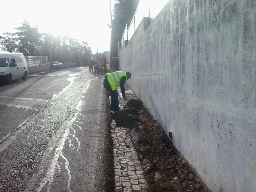 Sorraipa (Verride): Reabertura de cerca de 30 metros de valetas e desentupimento de 2 passagens hidráulicas. 6.