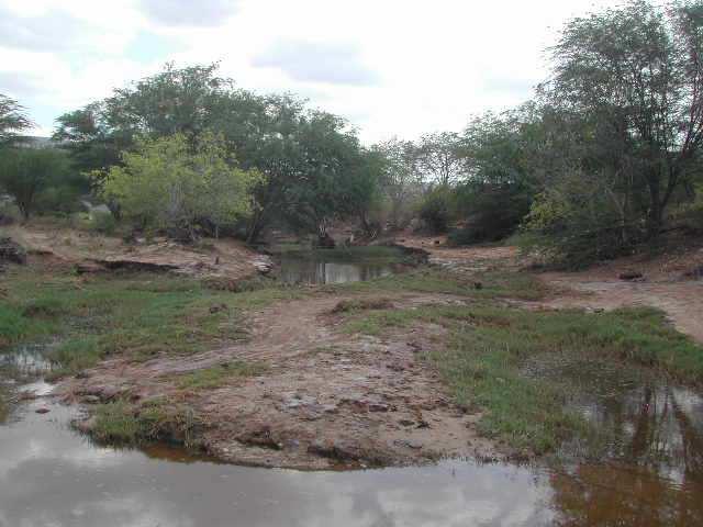 Sub-bacia hidrográfica - rio Jacaré Pastagens; Lenha / carvão vegetal; Mata ciliar