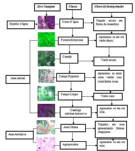 vetorização sobre o recorte da Imagem Landsat 5 referente ao município, utilizou-se como base para a vetorização um zoom na escala de 1:50.000.