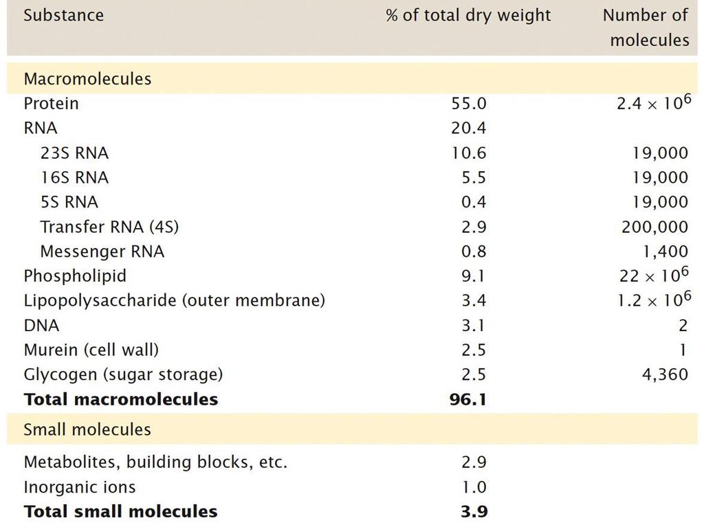 As moléculas das células Composição química aproximada de